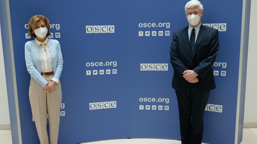 OSCE Representative on Freedom of the Media meets with Belgium ...