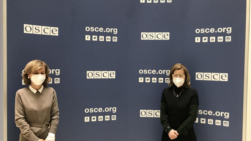 OSCE Representative on Freedom of the Media meets with Ambassador of ...