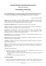 International Mechanisms for Promoting Freedom of Expression