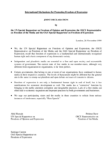 International Mechanisms for Promoting Freedom of Expression