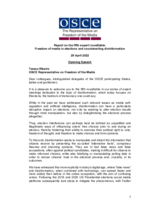 Report on the fifth expert roundtable: Freedom of media in elections and counteracting disinformation