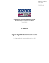 Report by the OSCE Representative on Freedom of the Media, Ms. Teresa Ribeiro