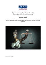 Special report on handling of the media during public assemblies